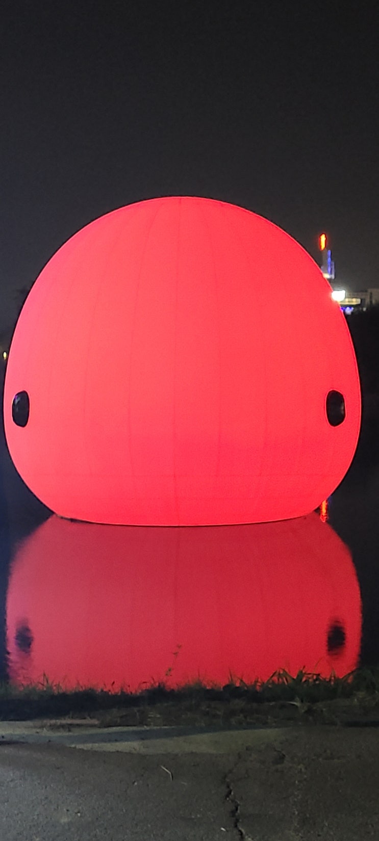  러브웨일 (Love Whale) 돌아온 귀염둥이 고래