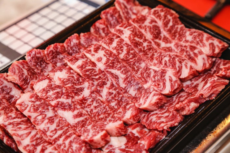  [대구 정육점] 실패 없는 신선한 고기 맛집 고령축산 대구행복페이 가맹점