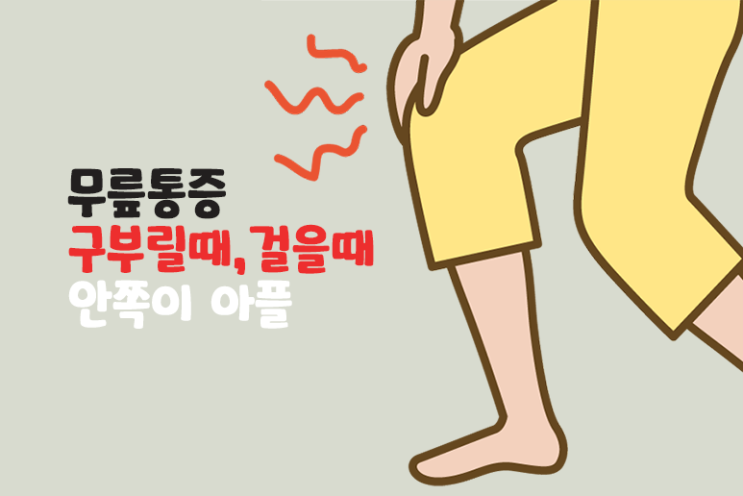 무릎 통증 구부릴때 걸을때 안쪽이 아플때 원인