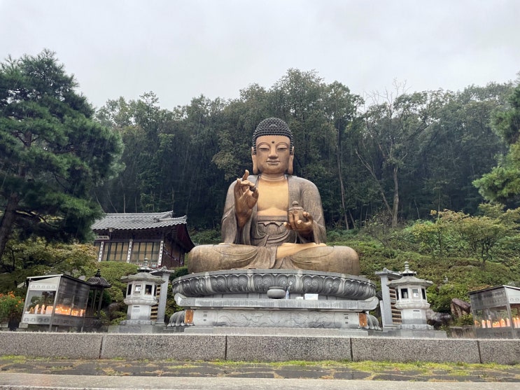  경기도 나들이 파주 가볼만한 곳 심학산 약천사