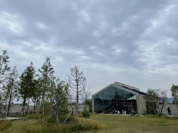  [강원도속초_까페] 시드누아, Seednoir, 속초점