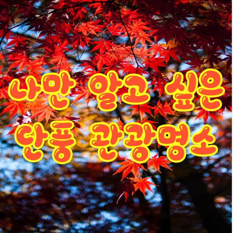  단풍 여행 떠나요 ㅣ 절정시기와 나만 알고 싶은 강추 명소 TOP 7