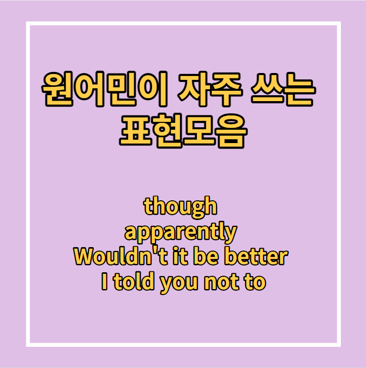  원어민이 자주 쓰는 표현모음 (though,apparently,Wouldn't it be better,I told you not to)