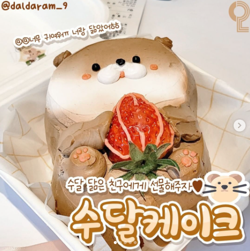  [케이크] 수달 케이크