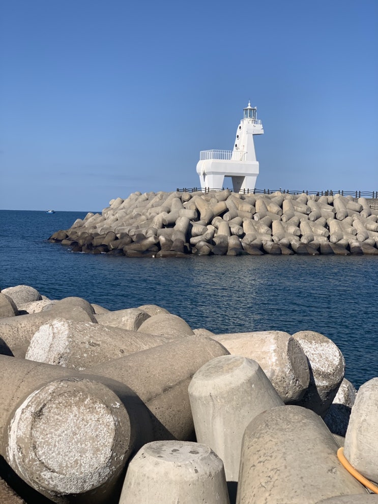  제주도여행 이호테우해변