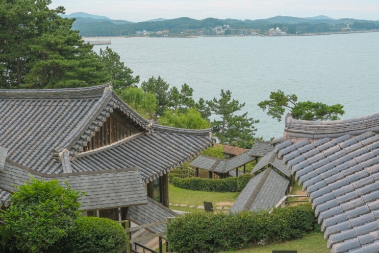 충남 보령 가볼만한 곳! 오션뷰와 함께하는 한국식 전통정원, 힐링여행의 끝, 죽도 상화원(세계최장회랑/한옥마을/석양정원)