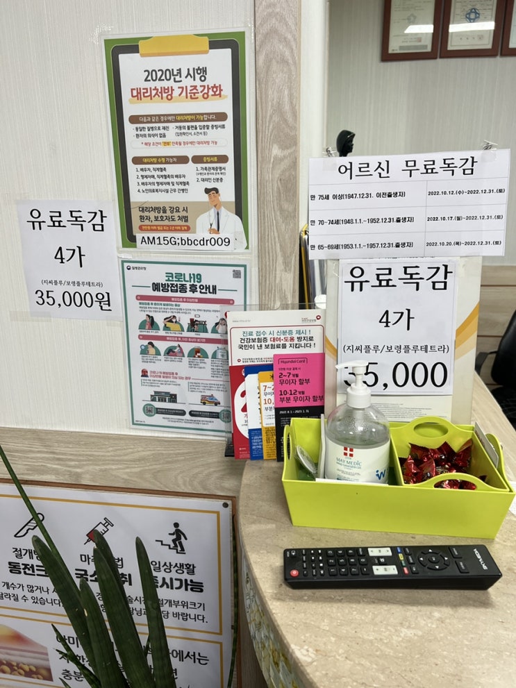  2022 독감백신 지씨플루&보령플루테트라 차이점 / 증상 및 부작용?! (+가격 /무료접종 대상자)