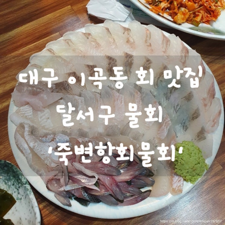  대구 이곡동 회 맛집 성서산업단지역 회 맛집 죽변항회물회