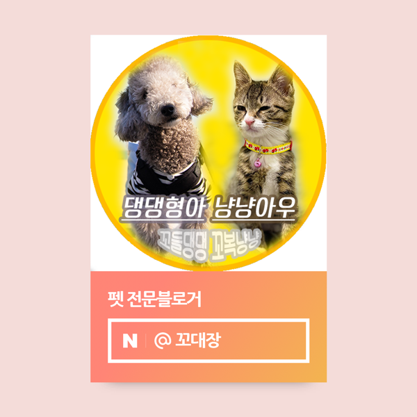  펫인플루언서 선정, 18번만에 드디어 합격 했습니다