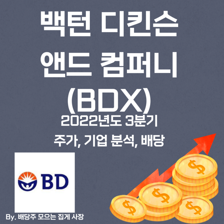 [벡턴 디킨슨 앤드 컴퍼니] 2022년도 3분기 BDX, BDX 주가, BDX 주식, 기업 분석, 배당 지급일, 배당락일, 배당 성향, 배당 수익률, 배당 성장률