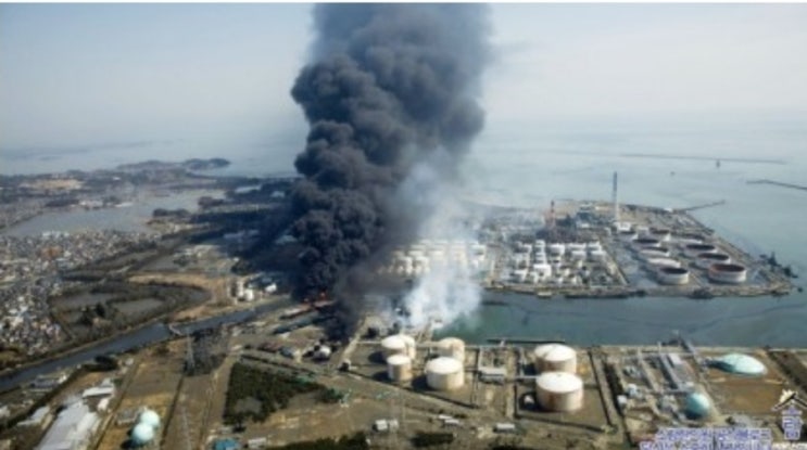 일본 도쿄여행 후 방사능 오염 걱정했던 이야기