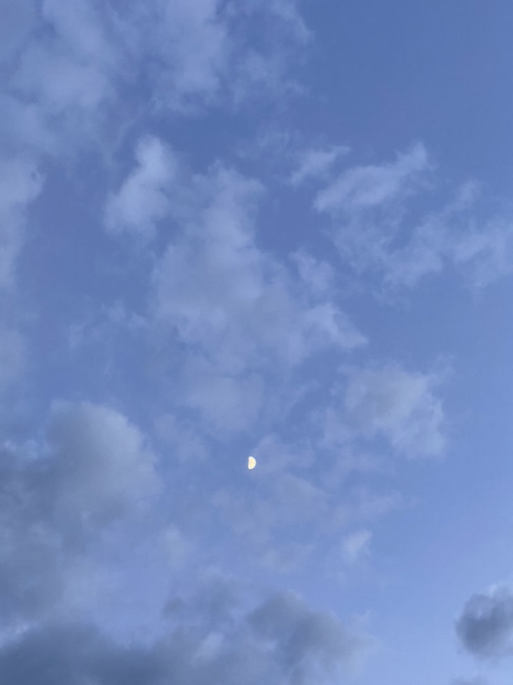 시간이 아깝지 않나?