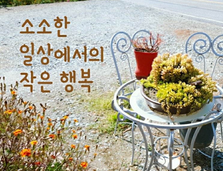  훈훈한 일상 이야기
