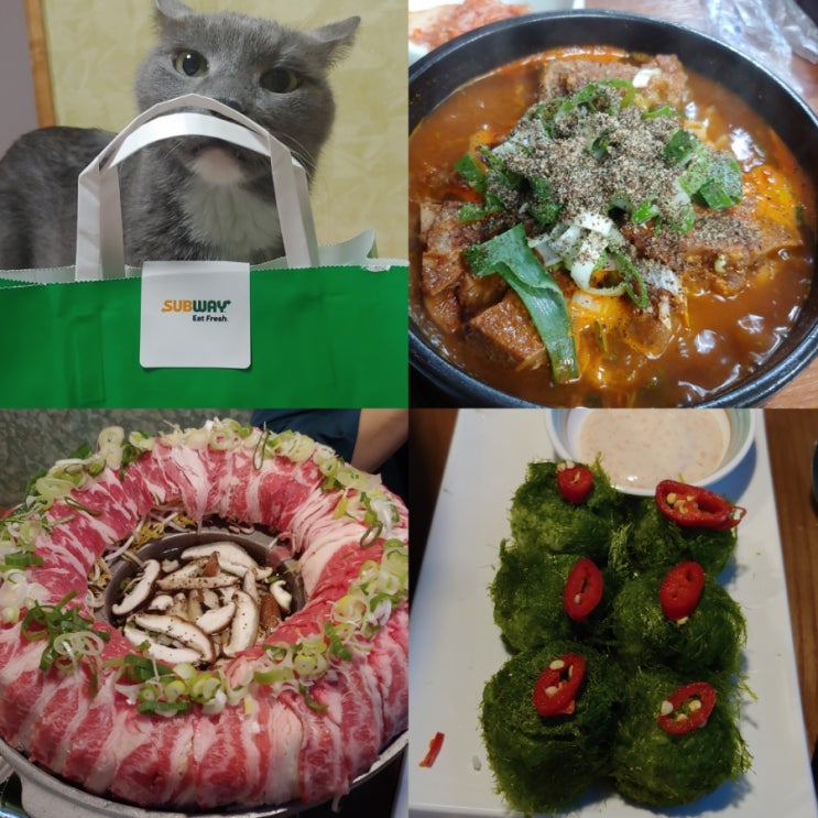  여유로웠던 한주괴산유기농엑스포/용암동본가감자탕해장국/동남지구단성무이/오창명작/여기어때vip혜택