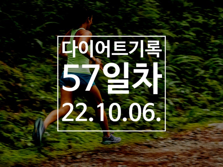 [다이어트기록DAY57] 런데이 3km 달리기!