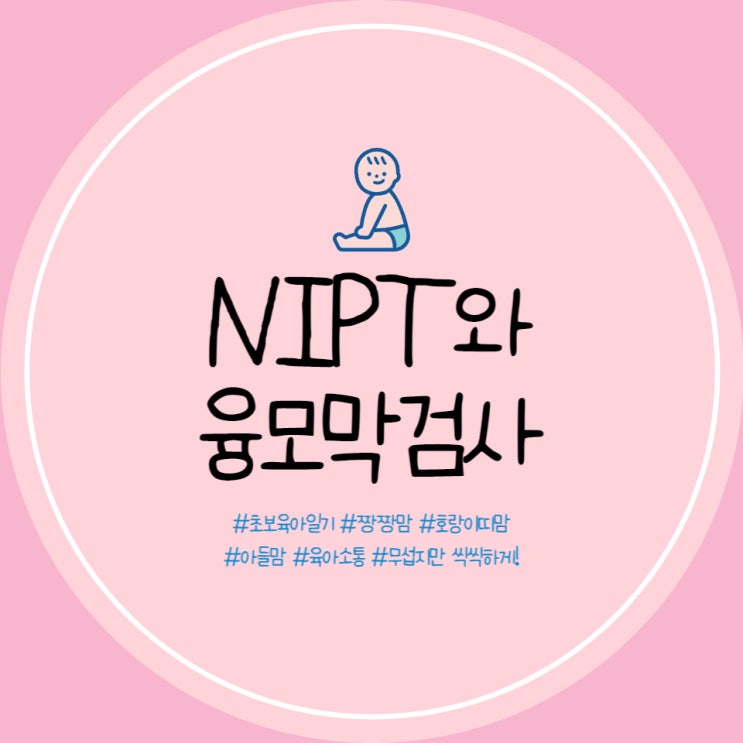  1차 기형아 검사 다운증후군 고위험군? 니프티검사(NIPT/하모니), 융모막검사 경험 후기!