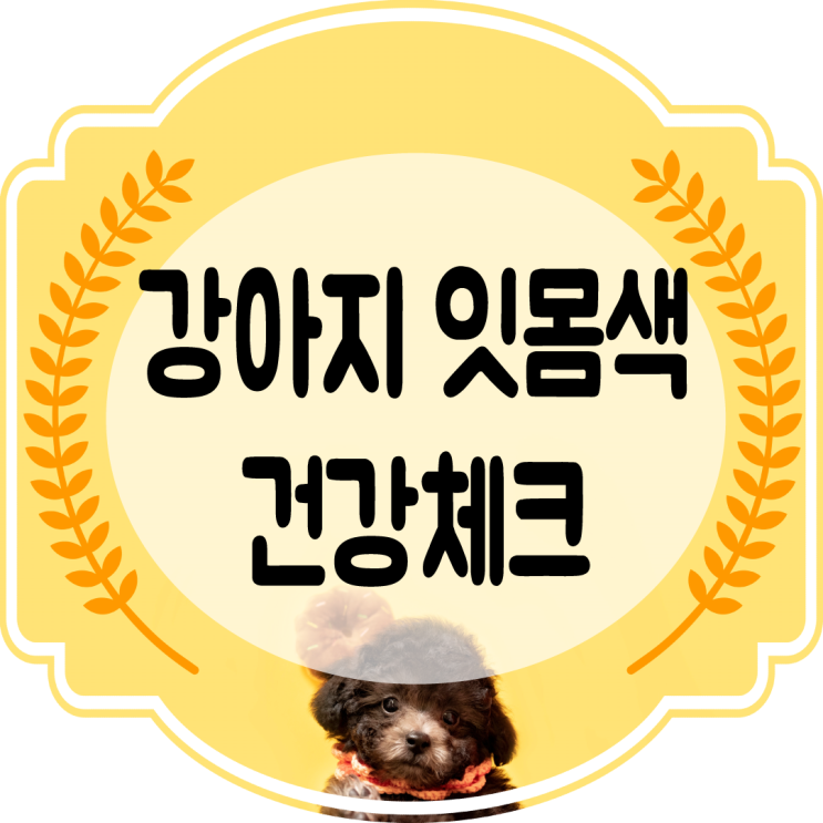  강아지 잇몸색 으로 우리 아이 간단 건강체크~