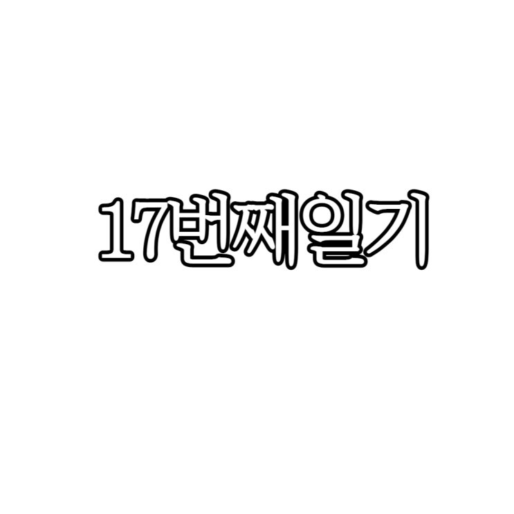  17번째일기