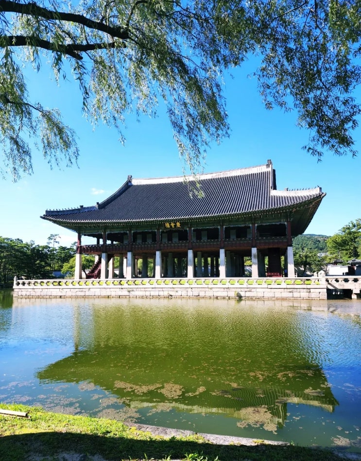  2022년 우리나라 경제가 어려운 이유