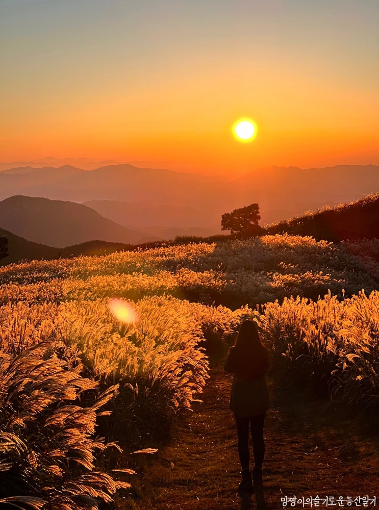  억새하면 합천 황매산!이번 가을 무조건 가야할 곳!