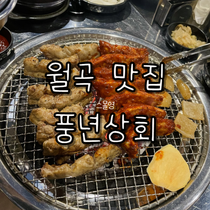  월곡 쪽갈비 맛집) 청결하고 서비스 좋은 풍년사회 내돈내산 + 오사카부루스