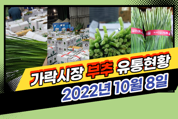  [경매사 일일보고] 10월 8일자 가락시장 "부추" 경매동향을 살펴보겠습니다!