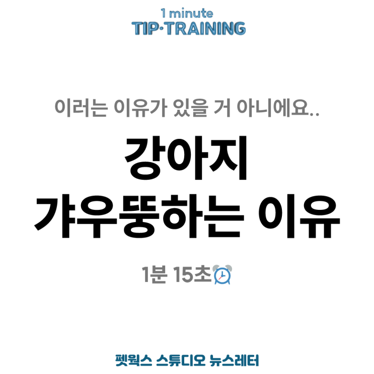  강아지 갸우뚱하는 이유와 2가지 주장