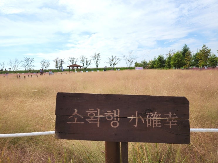 나만의 행복 비결은...? ^_^ 나만의 행복 비결은...? ^_^