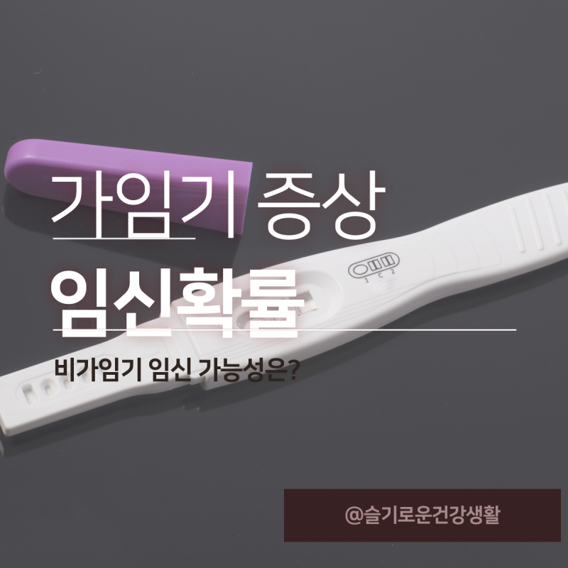 가임기 증상 : 비가임기 임신확률 (배란일 계산기) : 네이버 블로그