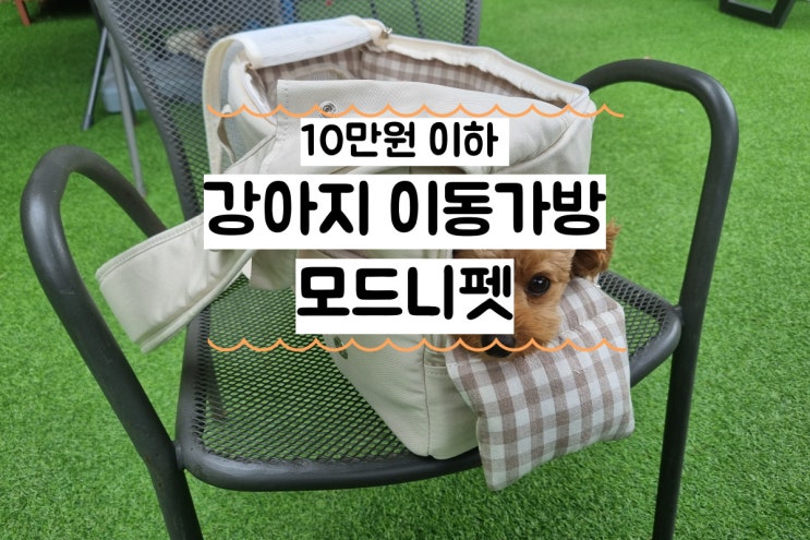  강아지 이동가방 모드니펫 장단점