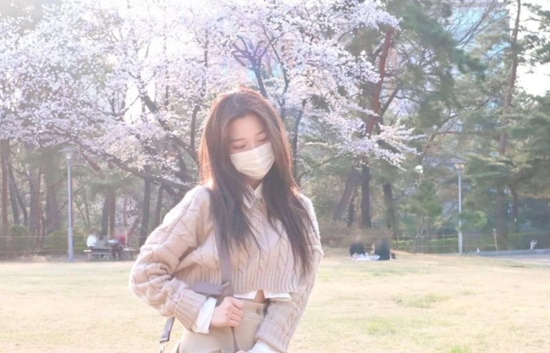 서울여대 여신 백지헌 짤 화제 아동학과 입학 프로미스나인 멤버 프로필 나이