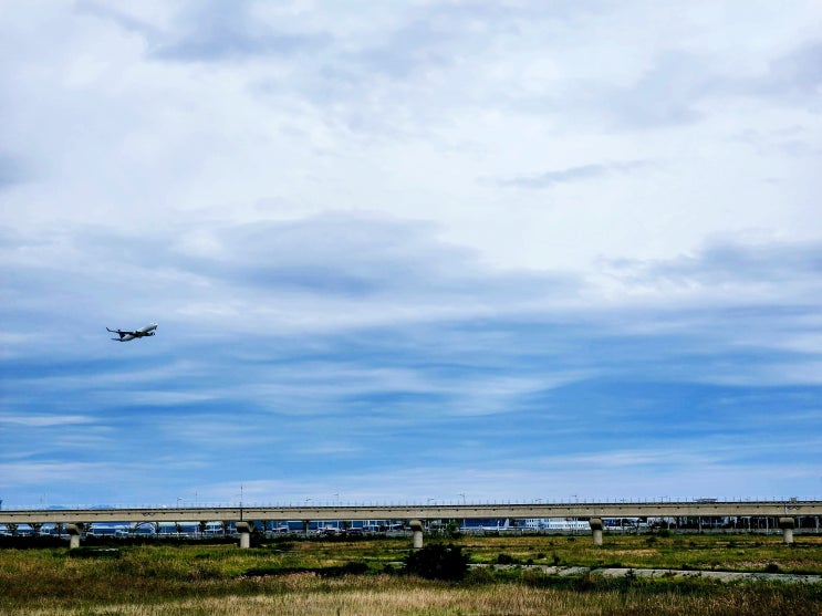  인천공항 근처 가볼만한곳 영종도 하늘정원  코스모스 주차장