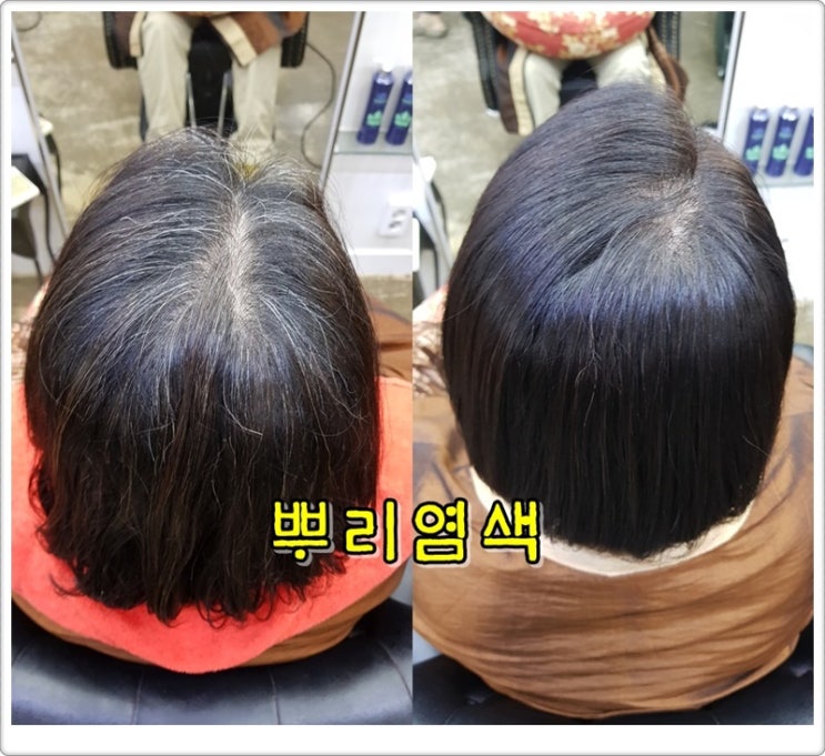  뿌리염색 주기, 복구염색 잘하는 곳 전주 중화산동 마벨