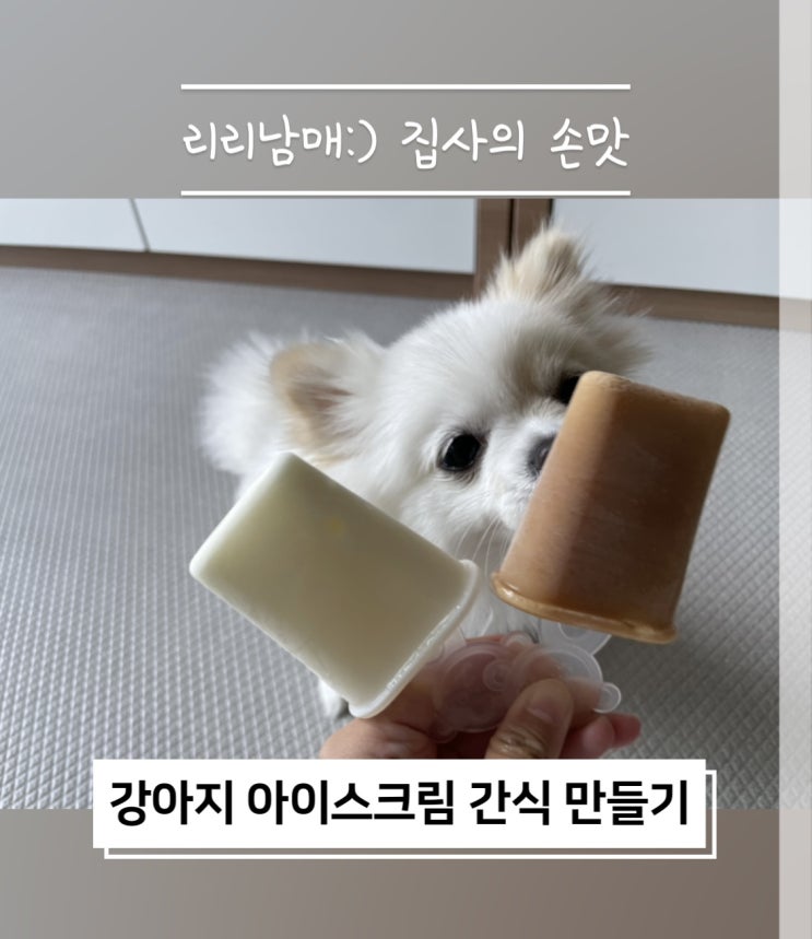  강아지, 고양이 수제 아이스크림 만들기. 3개월 강아지 간식으로 굳