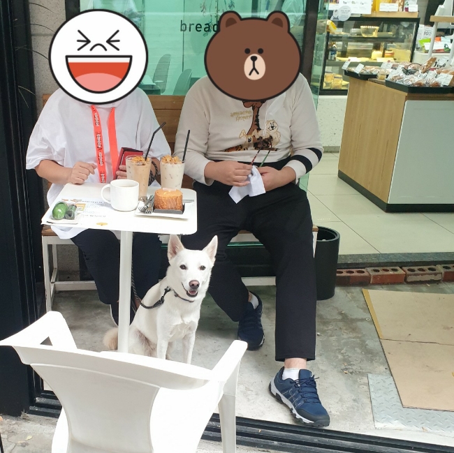 강아지 산책하면서 들린 정릉 브레댄코 강아지 산책하면서 들린 정릉 브레댄코