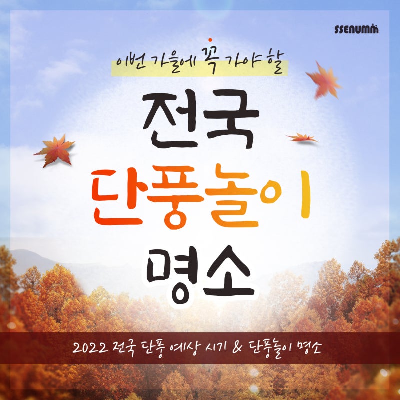 이번 가을에 꼭 가야 할 전국 단풍놀이 명소🍂 : 네이버 블로그