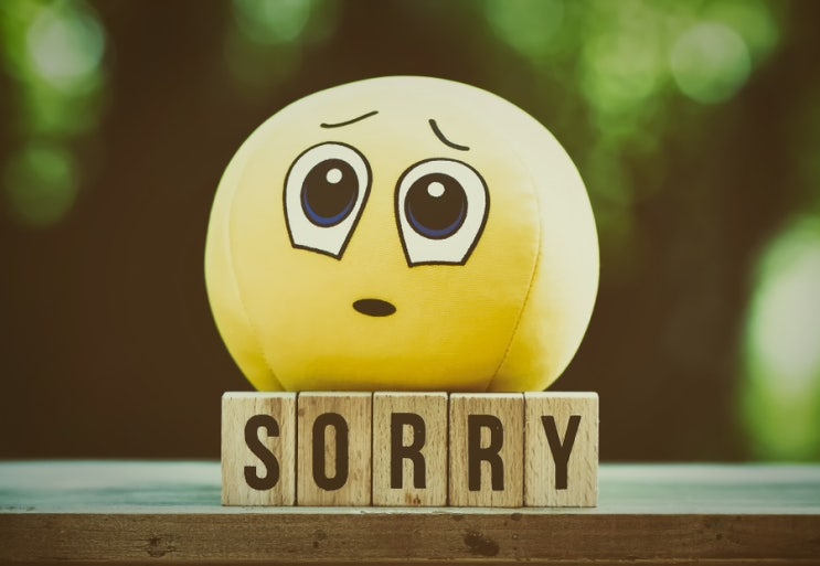 사과하는 게 그렇게 어려워?