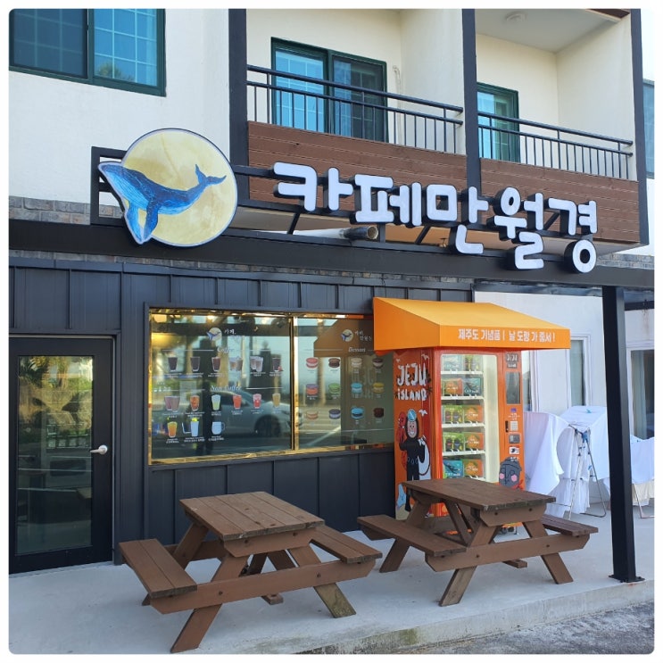  제주도 애견동반 애월 무인카페 카페만월경 제주 애월점