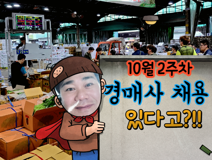  [경매사 채용안내] 10월 2주차에 진행되는 경매사 구직 정보를 살펴보겠습니다!