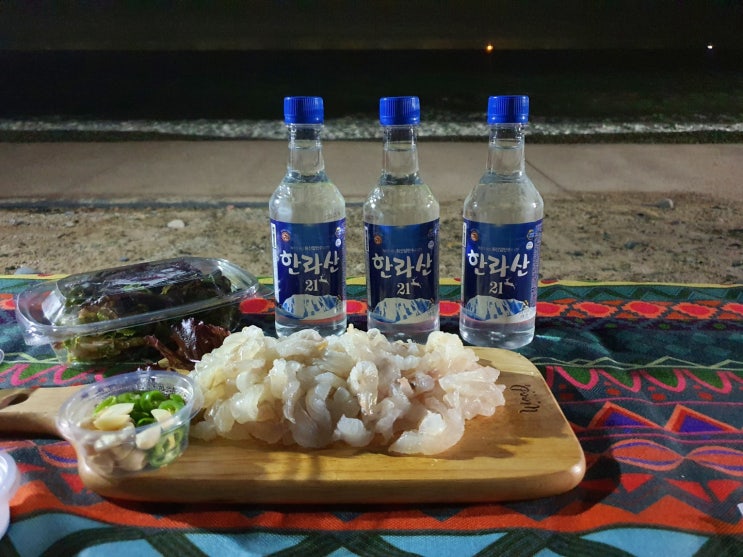  노지 캠핑 울산 경주 관성솔밭해변