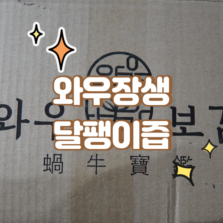  달팽이즙으로 가을보양식 제대로 챙겨먹어요