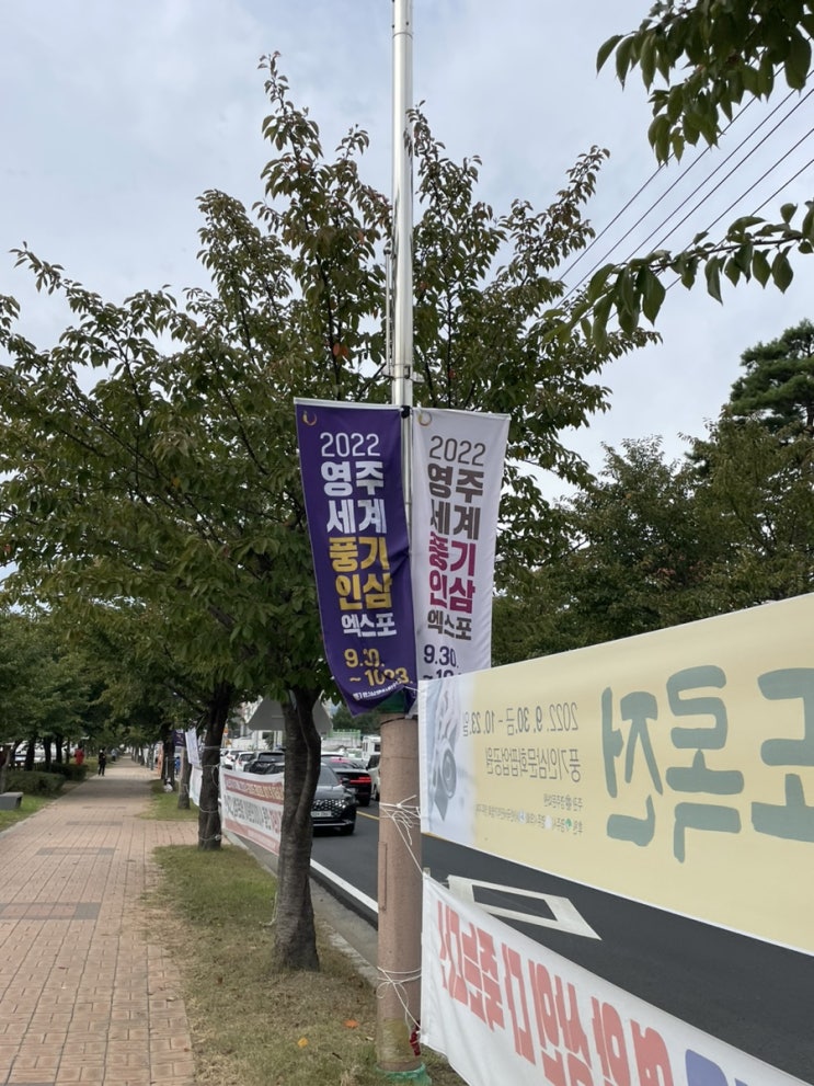  [영주] 2022 영주세계풍기인삼엑스포 축제 후기 주차방법