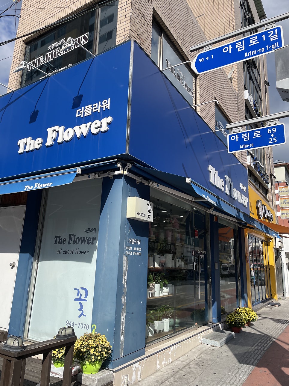 더플라워 사진 2