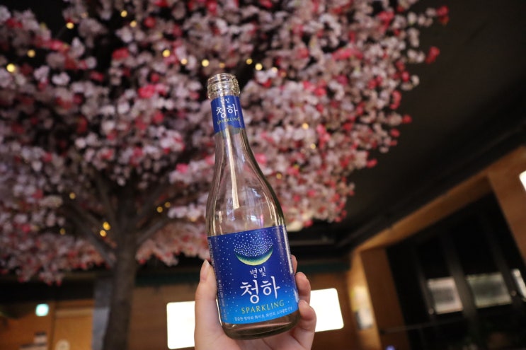  [건대입구술집] 분위기 좋고 안주가 맛있는 별빛술담 (ft. 별빛청하 스파클링)