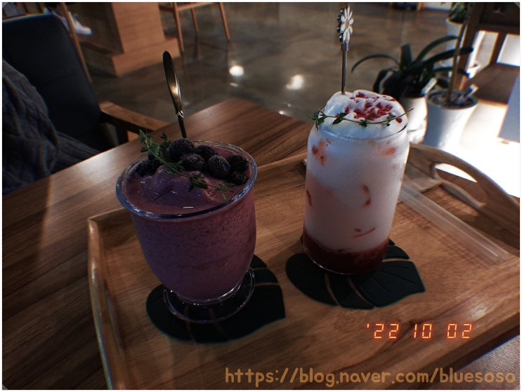 22년 10월 1일 ~ 7일 폰사진털이