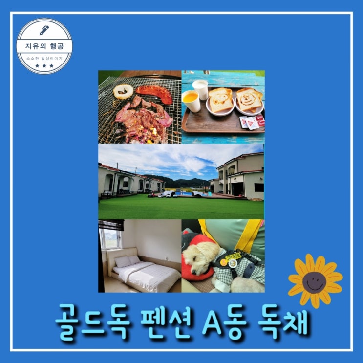  안면도ㅣ골드독펜션ㅣA동 독채 개별 운동장 내돈내산