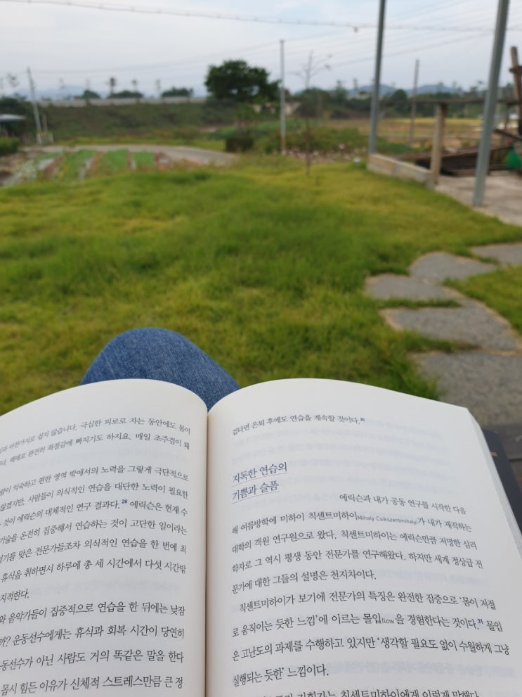  그릿