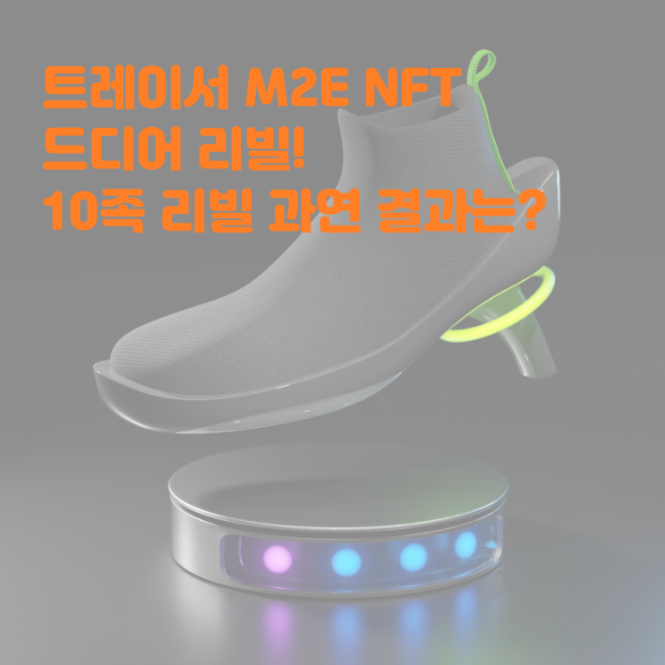 트레이서 M2E NFT 드디어 리빌! 10족 리빌 과연 결과는?