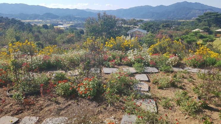 가을날, 동네 한바퀴 산책하기