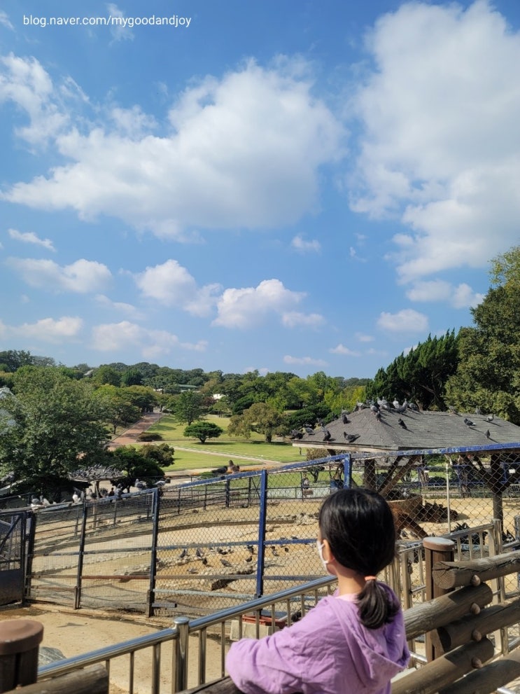 (아이와 함께) 대구 달성공원 동물원 (아이와 함께) 대구 달성공원 동물원